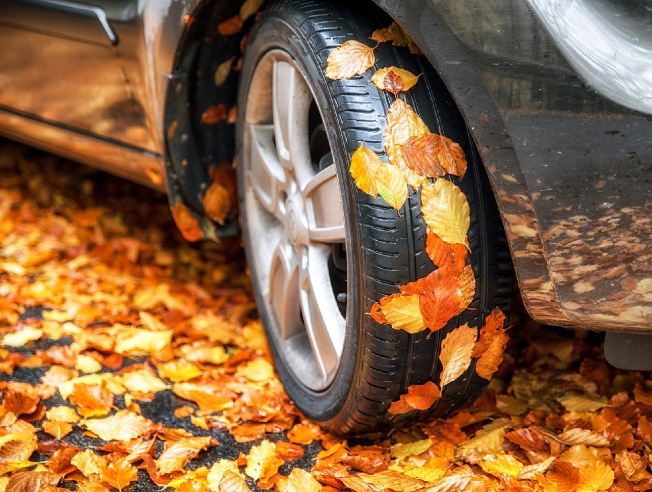 Известно, на каких шинах безопаснее всего ездить осенью при околонулевой температуре: все подробности